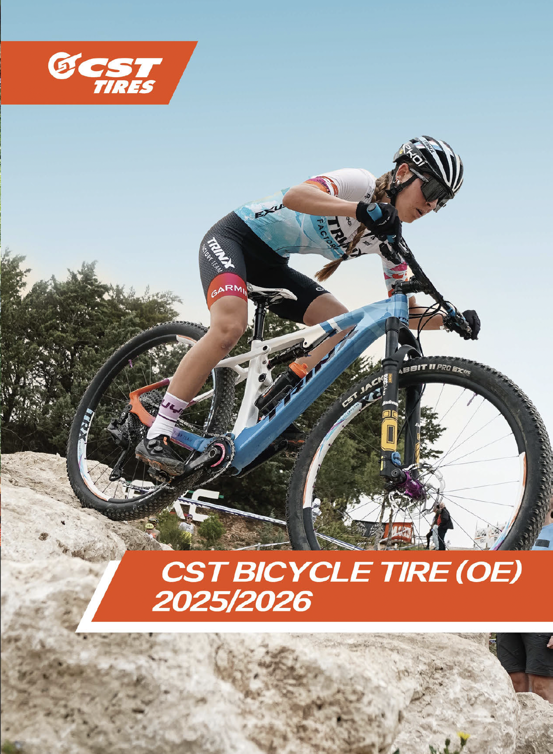 CST Tires BC OE catalog